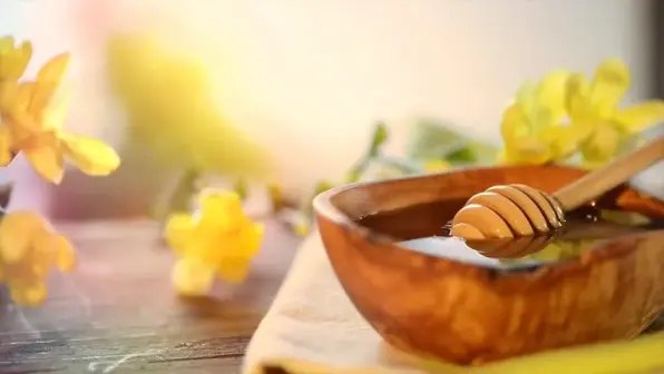 عوامل موثر بر کیفیت انواع عسل گون